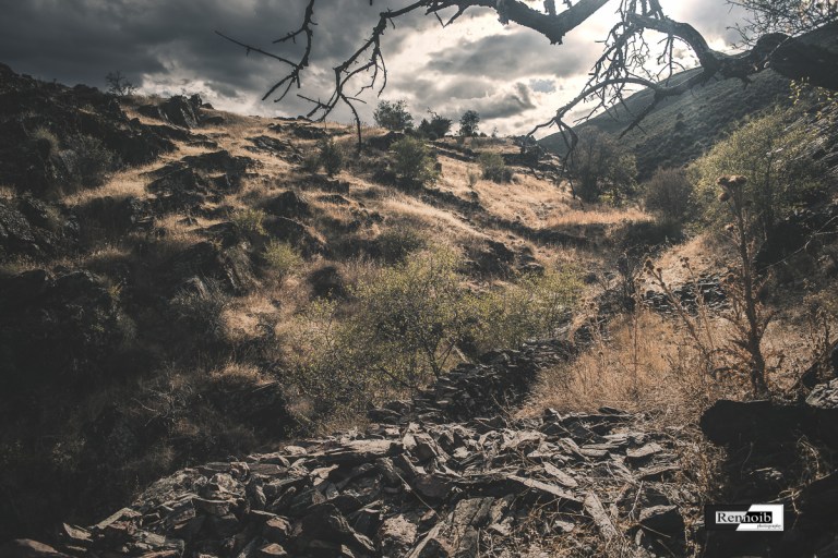 agosto 16, 2015 - 003